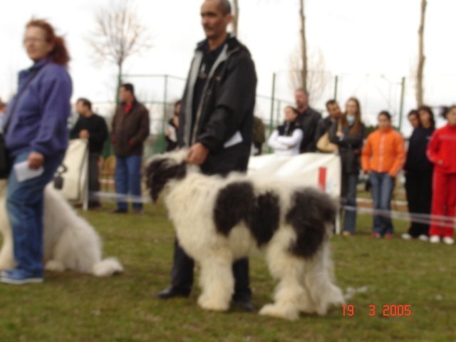 pitesti 2005 cd  8