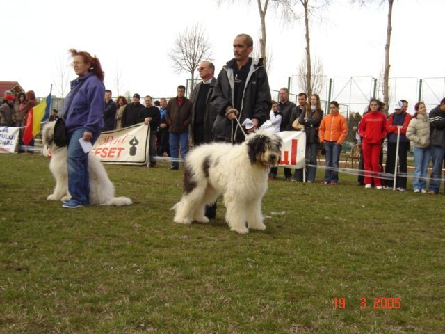 pitesti 2005 cd 10