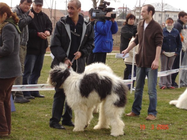 pitesti 2005 cd 3 - Pitesti 2005