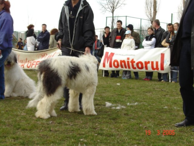 pitesti 2005 cd 9 - Pitesti 2005