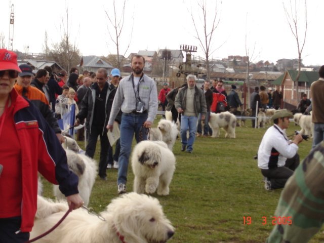 pitesti 2005 cd