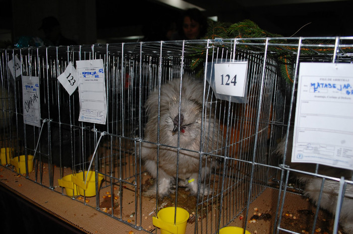 DSC_8179 - Expo 2012 Arges