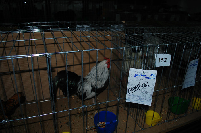 DSC_8269 - Expo 2012 Arges