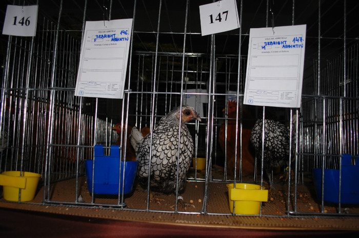 DSC_8278 - Expo 2012 Arges