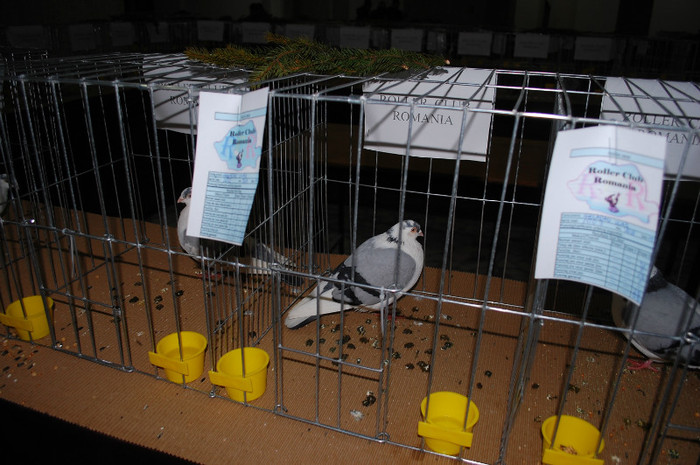 DSC_8321 - Expo 2012 Arges