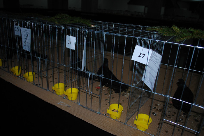 DSC_8367 - Expo 2012 Arges