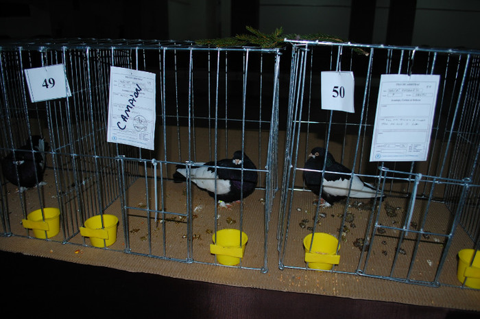 DSC_8391 - Expo 2012 Arges