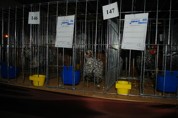 DSC_8277 - 2012 Expo Arges Ianuarie