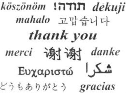 images (73) - CADOU 9000 DE VIZITATORI