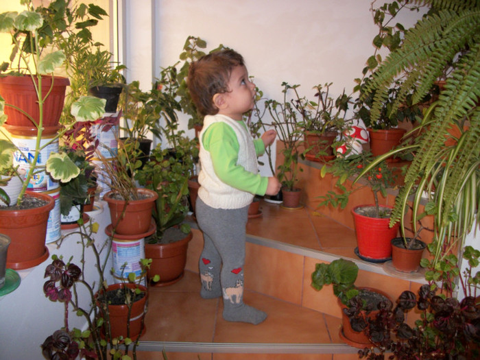 vreau sa vad ce e sus