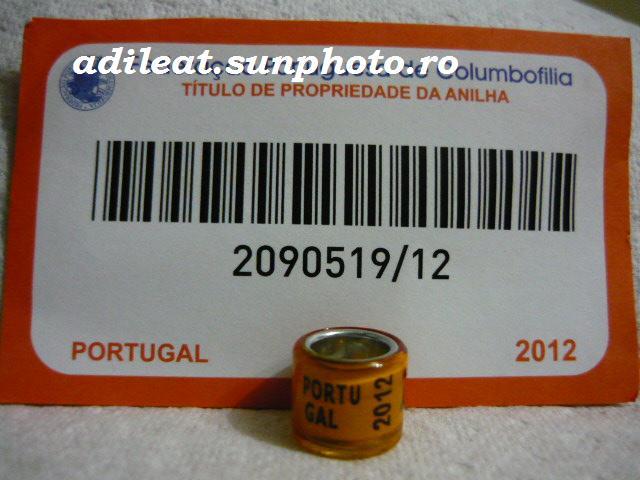 PORTUGALIA-2012 - PORTUGALIA-ring collection