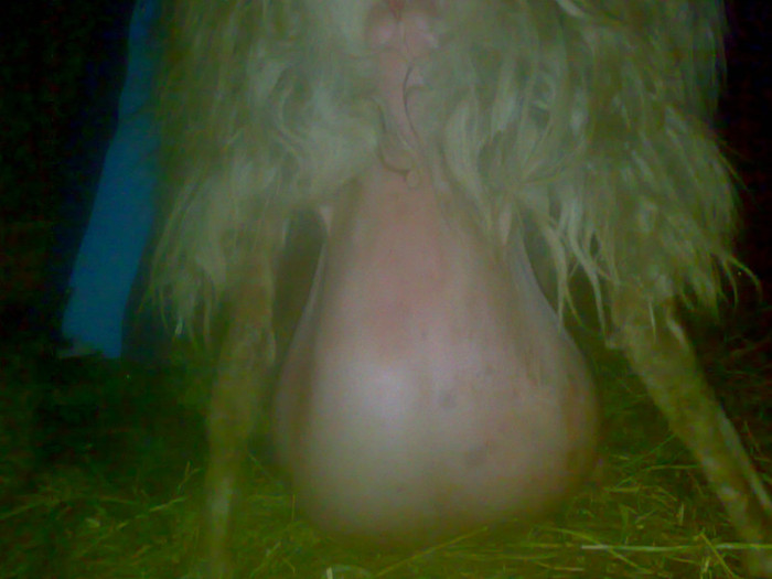 21012012643