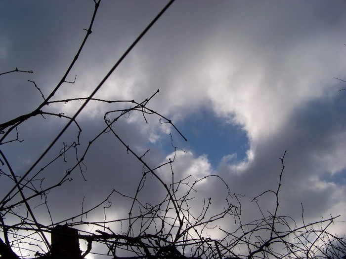 100_4252 - Splendorile cerului 2