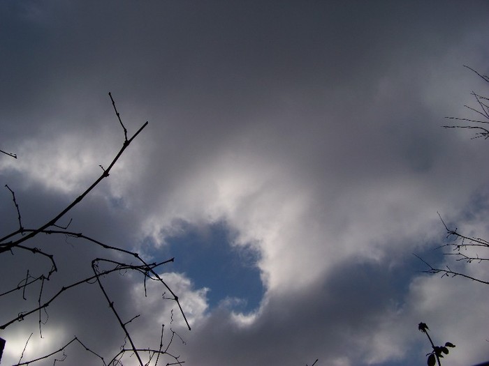 100_4253 - Splendorile cerului 2