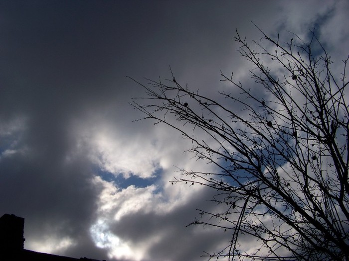 100_4255 - Splendorile cerului 2