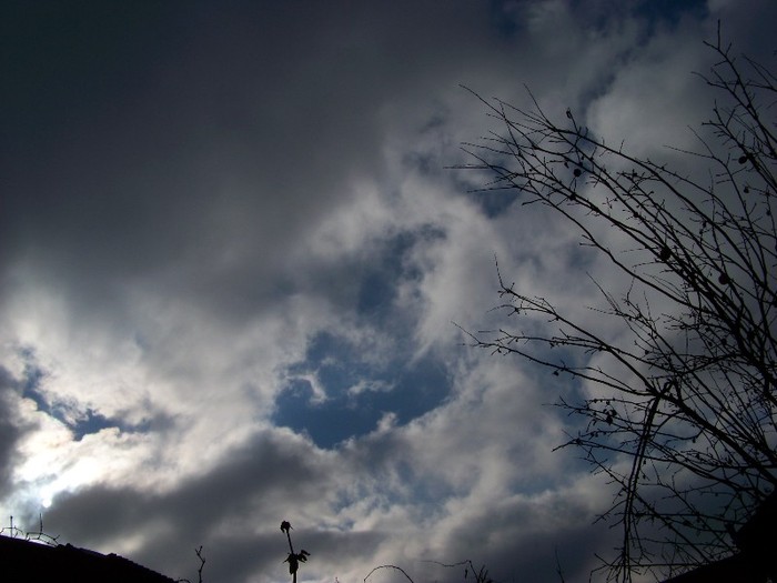 100_4256 - Splendorile cerului 2