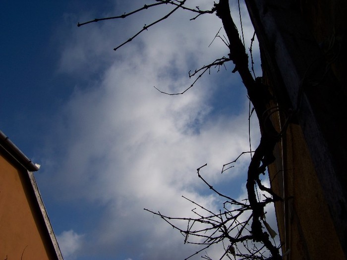 100_4259 - Splendorile cerului 2