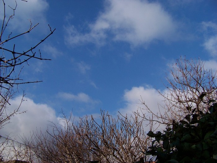 100_4262 - Splendorile cerului 2