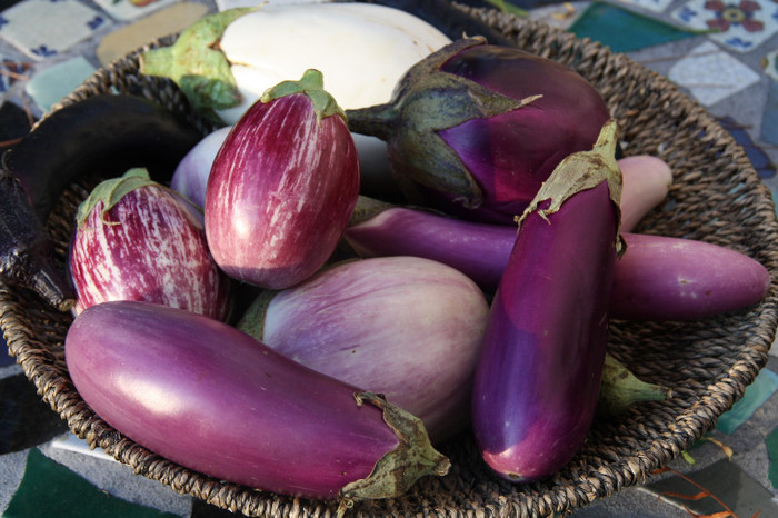 Eggplant - z - Legume Asiatice