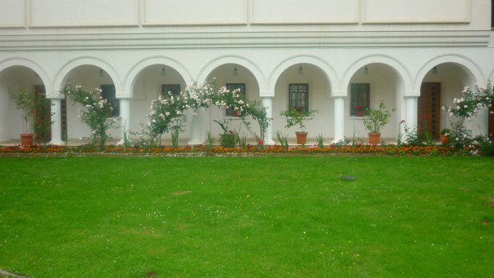 P1030762