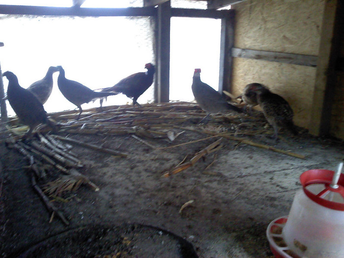 P191110_10.41_[02]