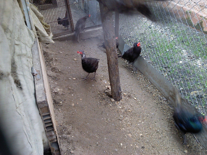 P191110_10.44_[01]