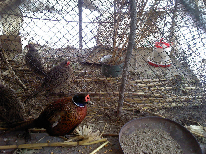 P260111_12.29_[01]