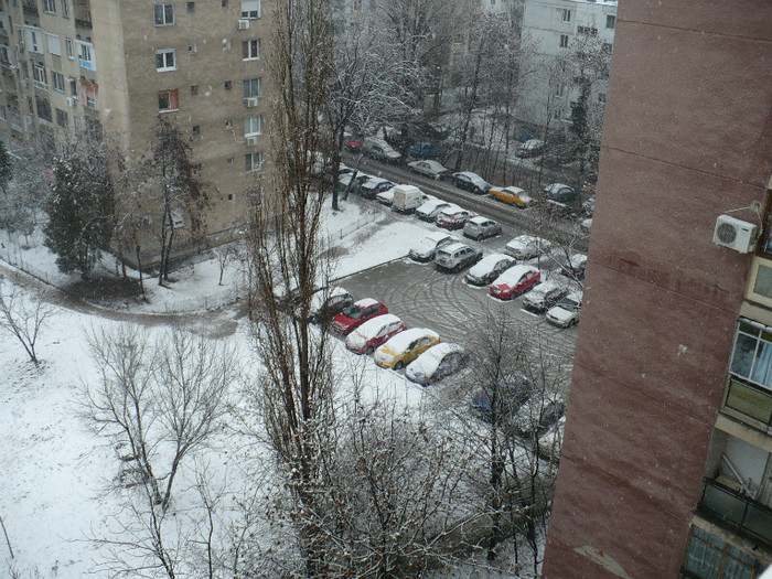 P1360883 - Iarna in Bucuresti 2012
