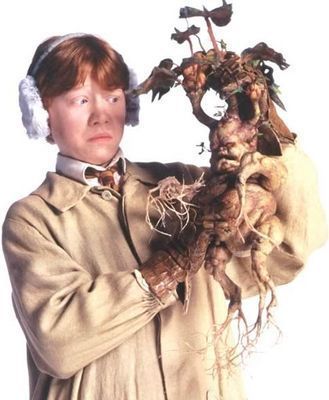 165 - Harry Potter si Camera Secretelor 2002