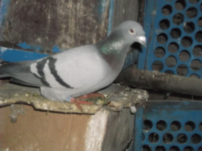 DSCF0383