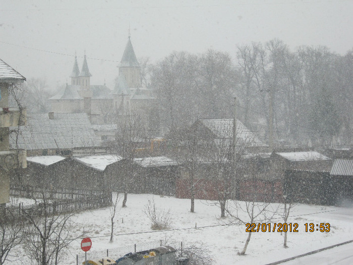 ian 2012 ninge - ianuarie 2012