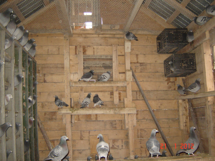 DSC02992 - zburatorii 2012
