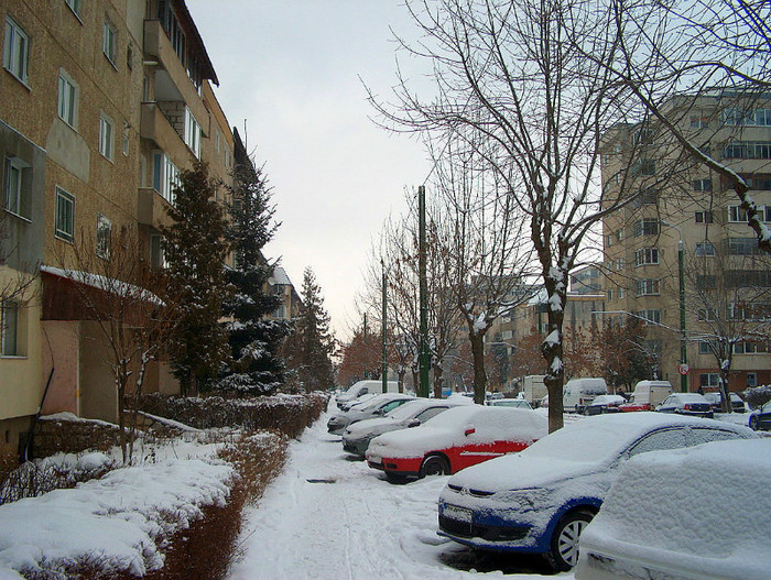 Iarna, pomi si blocuri in Racadau - RACADAU Ianuarie 2012
