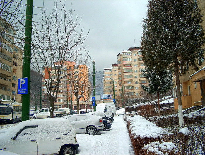 Iarna, pomi si blocuri in Racadau Iarna, pomi si blocuri in Racadau