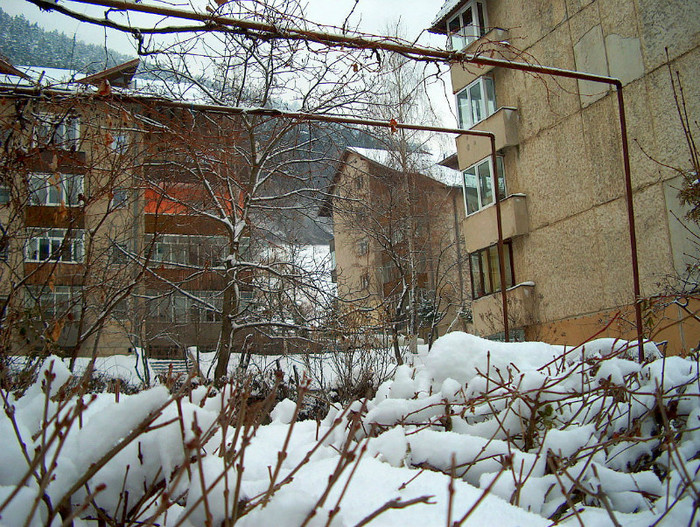 Iarna, pomi si blocuri in Racadau - RACADAU Ianuarie 2012