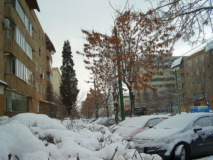 Iarna, pomi si blocuri in Racadau - RACADAU Ianuarie 2012