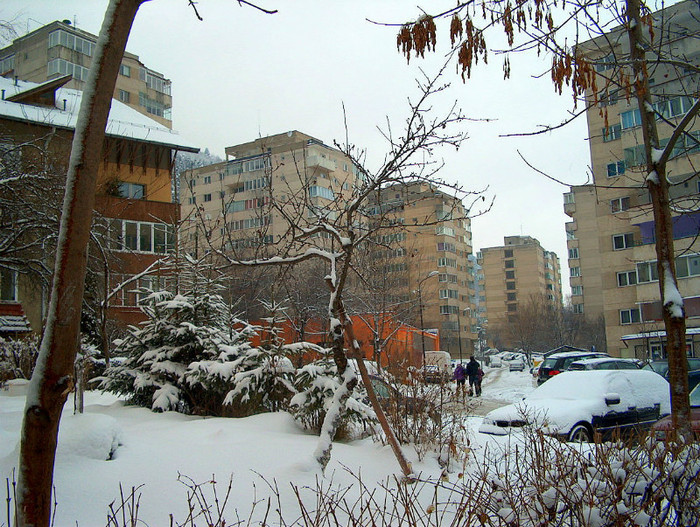 Iarna, pomi si blocuri in Racadau