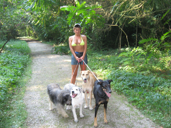 2009 , cu ,, fetele,, in parc d. - 16 Cainii mei 2008-2010