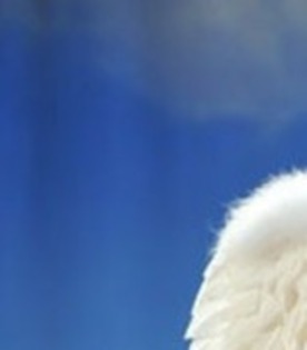 60496597_SQOAIZQ2 - laaaaaaaaaaaaaaaaaaaaaaa