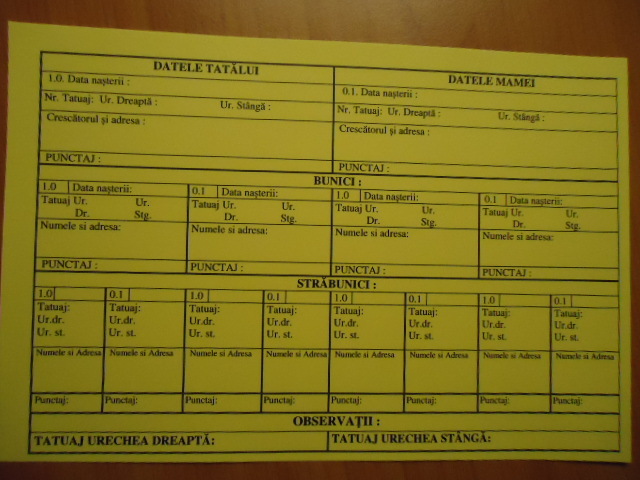 Certificat de origine Iepuri de Rasa-interior - x-Certificatul de Origine la Iepurii in rasa pura