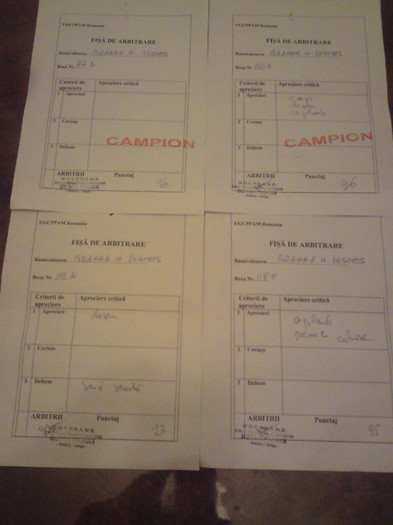 18 - REZULTATE DIPLOME CAMPIONI-CLUJ-NAPOCA 22 01 2012