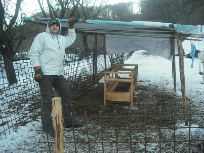 aici stau oile cand ploua si ninge - ARHIVA 2012