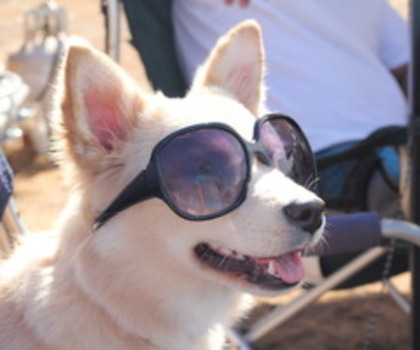 tumblr_lxlphhauiI1qdto24o1_500_thumb