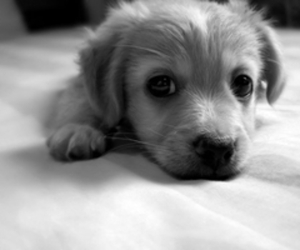 tumblr_ly63a32H9h1r6ipclo1_500_thumb