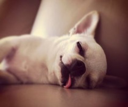 tumblr_ly97efNYvB1rnbhyqo1_500_thumb