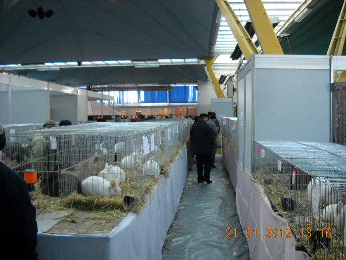 DSCN3547 - Expo Cluj 2012