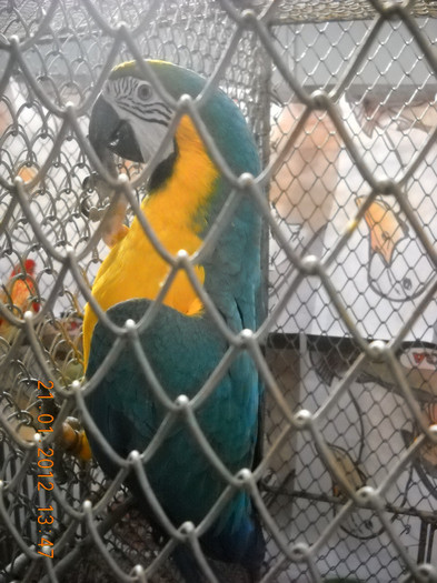 DSCN3581