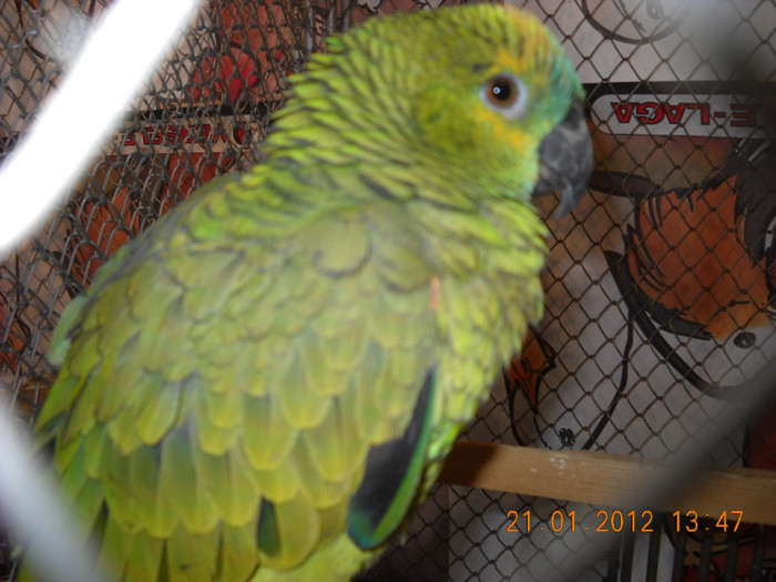 DSCN3583