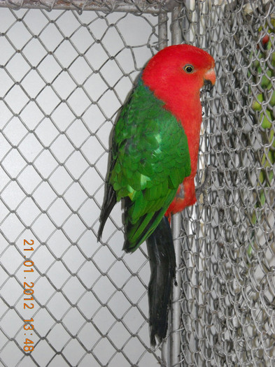 DSCN3586