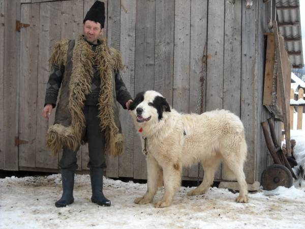 1237651462-dscn0062 - BUCOVINA COLT DE RAI